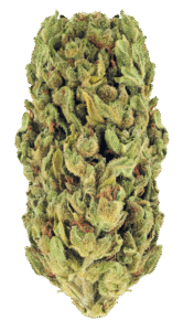 DrGreenClub cannabis product display