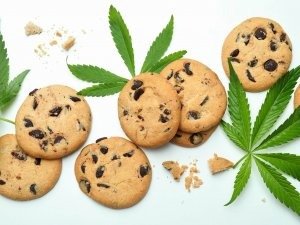 imgi_12_cannabis-leaves-and-cookies-on-white-background-U98SJGS-1-300x225