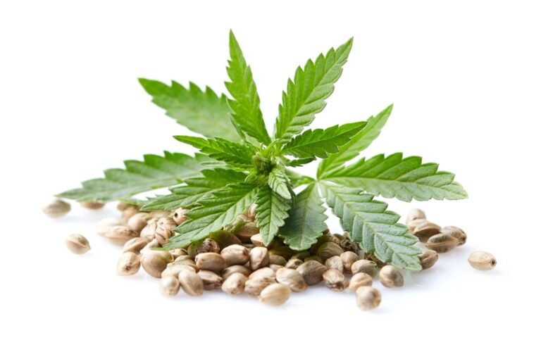 Bruce Banner flower product image
